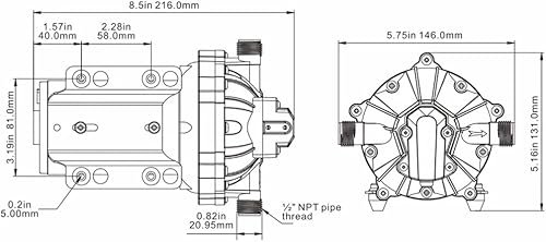 Seaflo Membranpumpe 55-Serie, 12V / 5,0 GPM / 18,9 LPM / 60PSI, 5-Kammer Pumpe, Boot - Ruaus