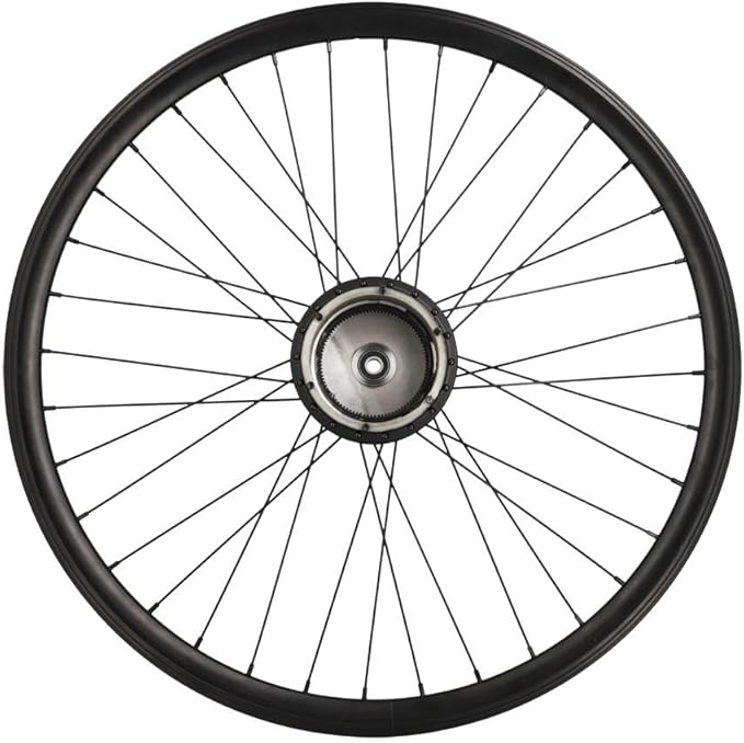 cyclingcolors 1x Fahrrad Hinterrad Felge Komplette Rand Radius Nabe für Elektrofahrrad VAE Größe 26' Ohne Motor kompatibel mit WHEELYOO 622 - Ruaus